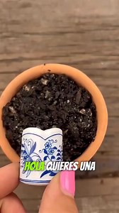 Idea fácil y rápida de arreglos con suculentas. #diy #decoracion #diyproject #suculenta #suculentas #gardening #plantas #jardin | Manos en la Tierra