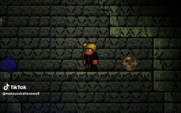 Dungeon Guardian Tips for Terraria Players