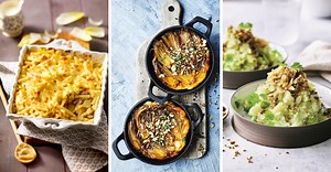 Witloof: 25 heerlijke gerechten voor het hele gezin - Libelle