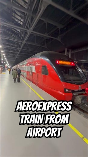 Aeroexpress Train from Airport (Moscow, Russia)