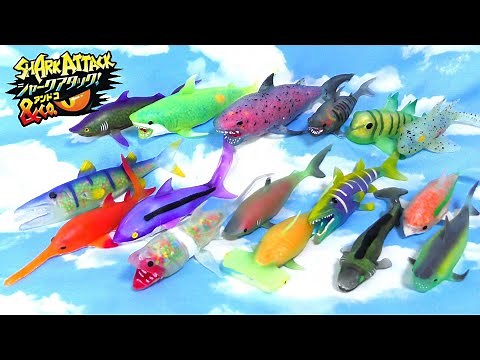 シャークアタック&Co.(SHARK ATTACK & Co.) コンプリートセット 全16種類開封！