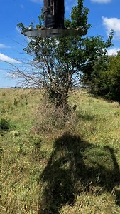 1.4K views · 4 comments | Showing that chemical applications alone...