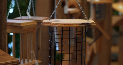 The Wild Bird Store gets ready for Fall migration season