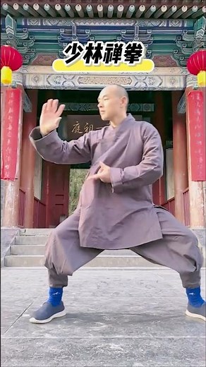 Shaolin Chan Quan 少林禪拳 #shaolinkungfu #shaolin #martialarts #traditionalchinesekungfu #少林禪拳 #chan