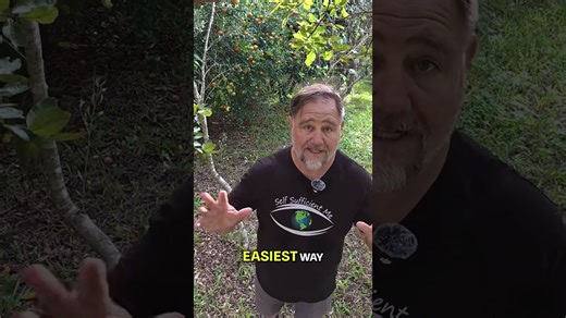 Simple clay hacks that actually work!