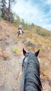 Clearing trail in some sweet “no fall” terrain today 😎 . . . #wild #wilderness #westelk #mountain #hunt #colorado #biggame #ełk #outdoors #backpack #explore #adventure #nature #glamping #camp #hike #optoutside #paradise | West Elk Wilderness Outfitters