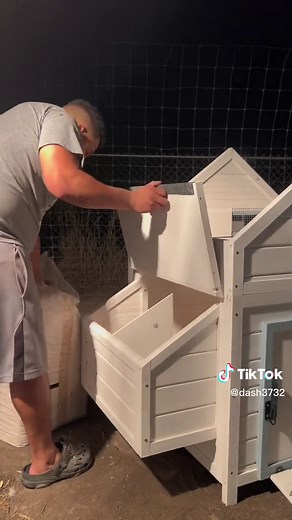 Building a Cozy Chicken Brooder Coop for Your Flock