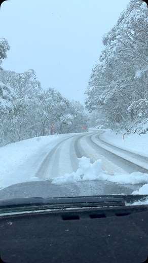 Still snowing! We hire chains too! Much cheaper than the fine for not having them. | Trigger Bros Surf Skate Snow