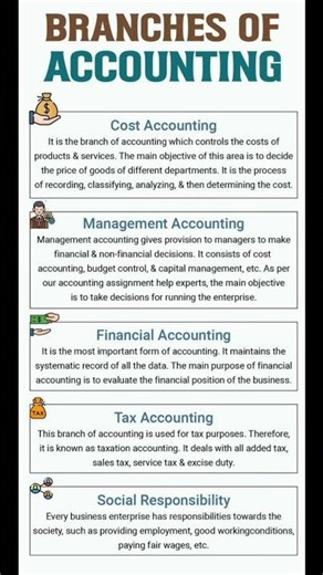 The Branches of Accounting | Accountancy | Class-11 | Chapter-1 || #shorts #youtubeshorts #education