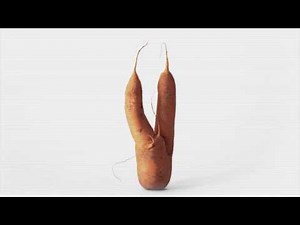 Denis Décode : la prosopopée du légume - Médias le Mag