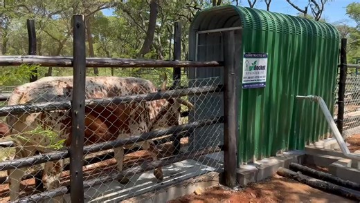 #SprayRace #agrocketengineering #animalhealth | AgriRocket Engineering P L