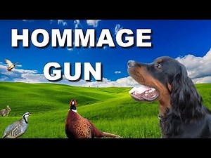HOMMAGE À GUN MON SETTER GORDON/CHASSE AU CHIEN D'ARRÊT/PERROS DE CAZA/CACCIA CON CANI DA FERMA