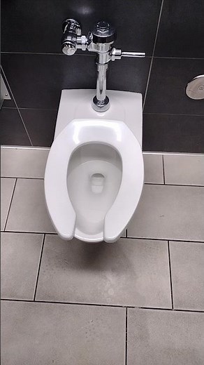 New 2024 American Standard Afwall Millennium Toilet. #americanstandard #toilet #flush #restroom