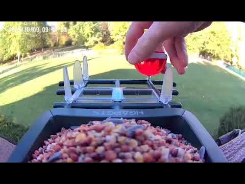 Adding Hummingbird Sugar to Bird Feeder 🐦 🐦‍⬛