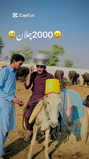 #foryou virla please review training infrezi account halmat funnyvideo 🙏🙏