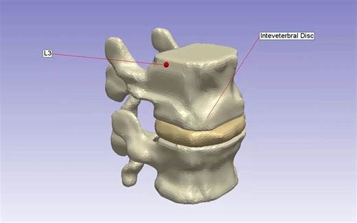 【Simpleware Tips】注释工具