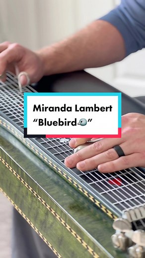 Best Steel Guitar Country Songs | New Country Music