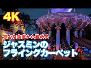 【夜の絶景】ジャスミンのフライングカーペット