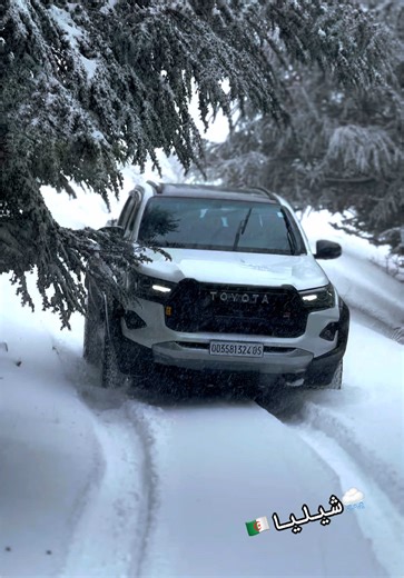 بوحمامة شيليا: جمال الجزائر في الشتاء ❤️‍