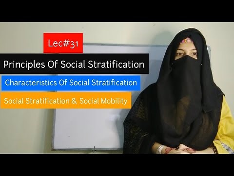Characteristics And Principle Of Social Stratification | Social Stratification and Social Mobility
