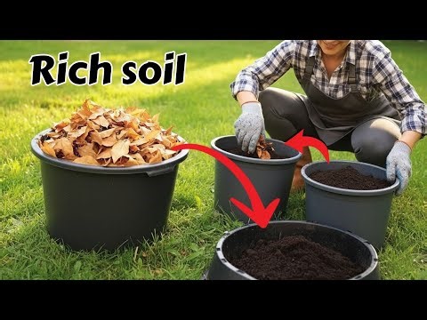 How to Turn Fall Leaves Into Powerful Fertile Soil in 60 Days