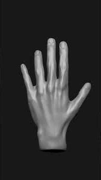 Hand anatomy study | Zbrush #3d #zbrush