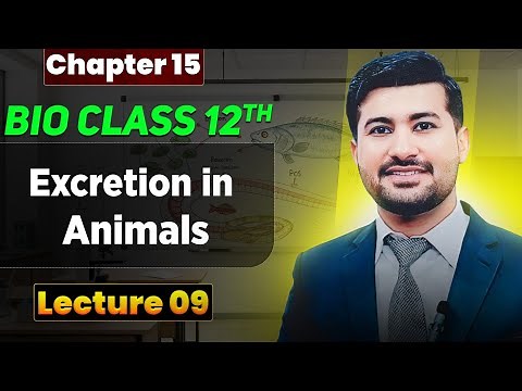 Excretion in Animals | Fsc biology book 2, lec 08| by irtisamsbiology