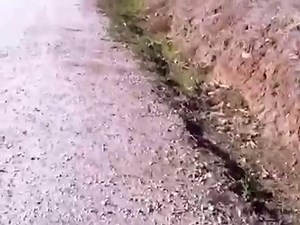 Extreme Barbie cart driving-the RC bros