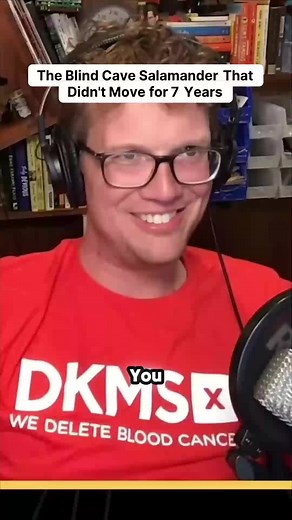 Unraveling the Secrets of the Olm Salamander