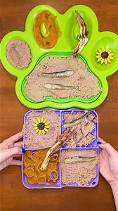 10K views · 107 reactions | What my dogs are eating for breakfast 旅 Earthborn Holistic Pet Food  #dogs #dogmom #dogfood #earthbornholistic #rawfeddog #dog #earthbornpartner #dogtreats #kibble #reels | Kayla Kowalski Nutrition | Facebook