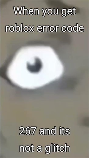roblox error code 267 what the hell????