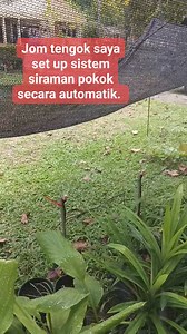 Saya dah set up sistem siram pokok secara automatik guna valve controller yang saya cerita semalam. Boleh la tengok kat video ni macamana saya buat. Pasang cincai-cincai je dulu.. #gengkebun #homegardening #tanamsendiri #kebundepanrumah #gardening | Tariq Syahman