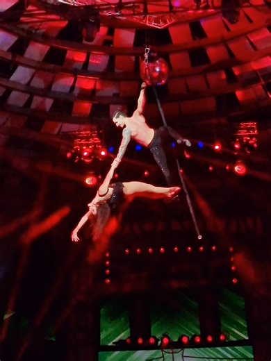 Duo Aerial DNA - Swing pole - Silver award - 16th Budapest Circus Festival 2026 Duo Aerial DNA - Lengőrúd - Arany-díj - XVI. Budapest Nemzetközi Cirkuszfesztivál – 2026 Fővárosi Nagycirkusz #circus #cirkusz #circo #circusfestival #cirkuszfesztivál #fnc #duoaerialdna #swingpole #lengőrúd #feketepéter #circusvideo #budapest #FővárosiNagycirkusz #zirkusfestival #zircus #silveraward #ezüstdíj