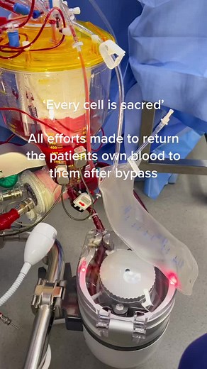 AusBloodManagement on TikTok