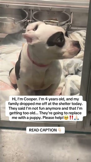 READ CAPTION 👇🏻