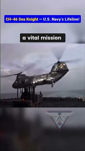 CH-46 Sea Knight in Action!