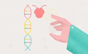 【二维动画】超棒动态设计短片医学元素MG解说动画《Not all genes are equal》133