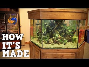 How Aquariums Are Made, A Tour Of Custom Aquariums