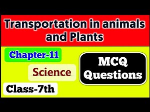 Class 7 Science Chapter 11 MCQ Question Answer | Chapter 11 Transportation in Animals and Plants