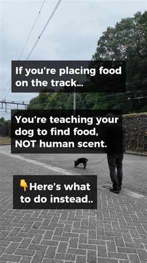 116K views · 515 reactions | How average dog trainers train...