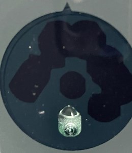 Camera Question - Ford F150 Forum - Community of Ford Truck Fans