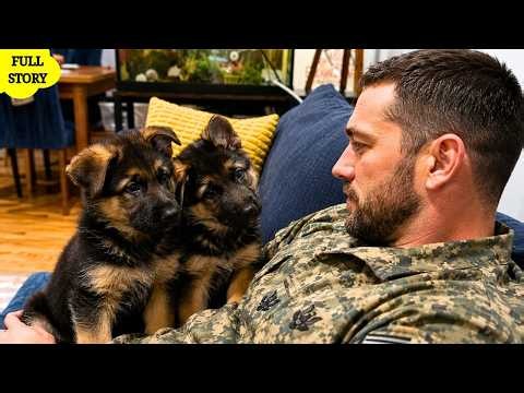 Navy SEAL Takes In Two Rejected German Shepherd Puppies — Their Journey Changes All Three Lives