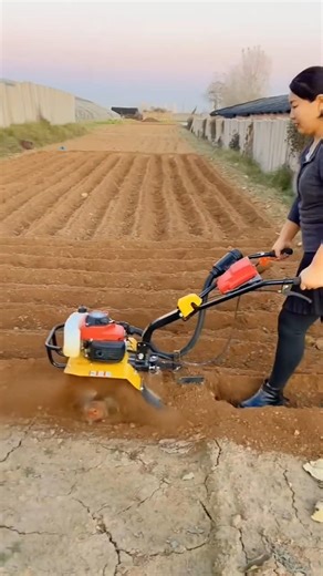 Micro Rotary Tiller Machine Working in Field | Small Power Tiller part 2885