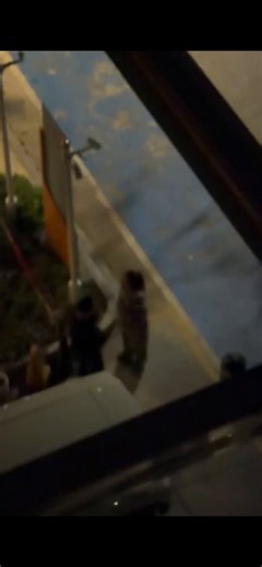尊严是人格的底座，亲手毁掉它的人不配为人父母。孩子不仅是你的后代，更是一个独立的、有脸面的个体。这位母亲最恶毒的地方不在于那一记记耳光，而在于她清醒地意识到自己在剥夺孩子的尊严，并以此为武器进行羞辱：“打你你还不乐意了？”这种建立在控制欲之上的生育，本质上是把孩子当成了私产甚至发泄筒。如果生孩子是为了在公共场合通过践踏他的自尊来彰显母权的威严，那么这种人从一开始就不该踏入生育的大门。在同学面前被扇耳光，那一刻男孩丢掉的不仅是面子，更是对这个世界、对至亲的基本信任。这位母亲在问出“你明天还要跟他们玩吗”时，流露出的那种扭曲的快感令人不寒而栗。这种人根本不具备抚养一个健康人格的能力。他们生下孩子，只是在制造下一个破碎的灵魂。如果不能学会尊重生命，请务必放过生命，别让生育成为一种合法的伤害。
