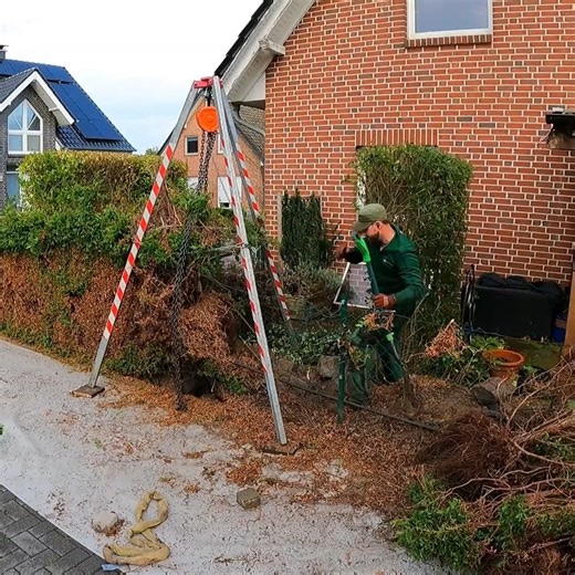 7.4K views · 123 reactions | She DIDN'T WANT TO, but Still ASKED ME to REMOVE the 20 Year Old Hedge | The Lawn Care | Facebook