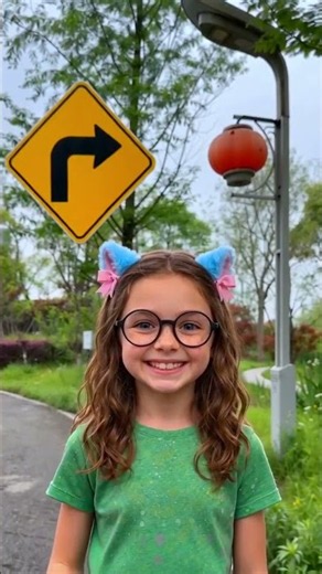Road Signs – What Do They Tell Us? 🚸🛑🚦