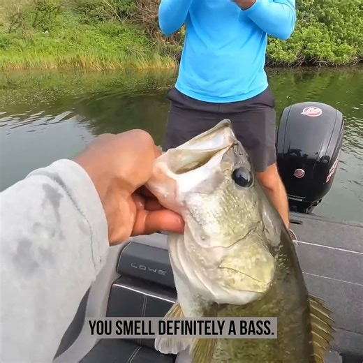 31K views · 354 reactions | I never had the gremlin in mind for a chatter bait trailer but it works really well! #outdoors #fishing #boats | Brian Latimer | Facebook