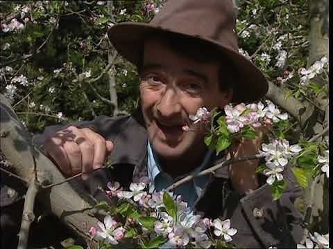 C'est pas sorcier -C'EST LE PRINTEMPS !