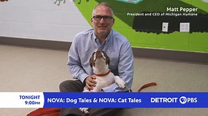 Watch NOVA: Dog Tales & NOVA: Cat Tales on @Detroit PBS at 9 pm tonight and keep an eye out for our President and CEO Matt Pepper along with some of our adoptable animals! Thank you, Detroit PBS, for this awesome opportunity! #mhumane #DogTales #CatTales #BetterWithPets #adoptashelterpet | Michigan Humane