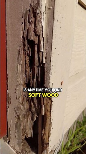 3 Ways to Tell if You Have Termites